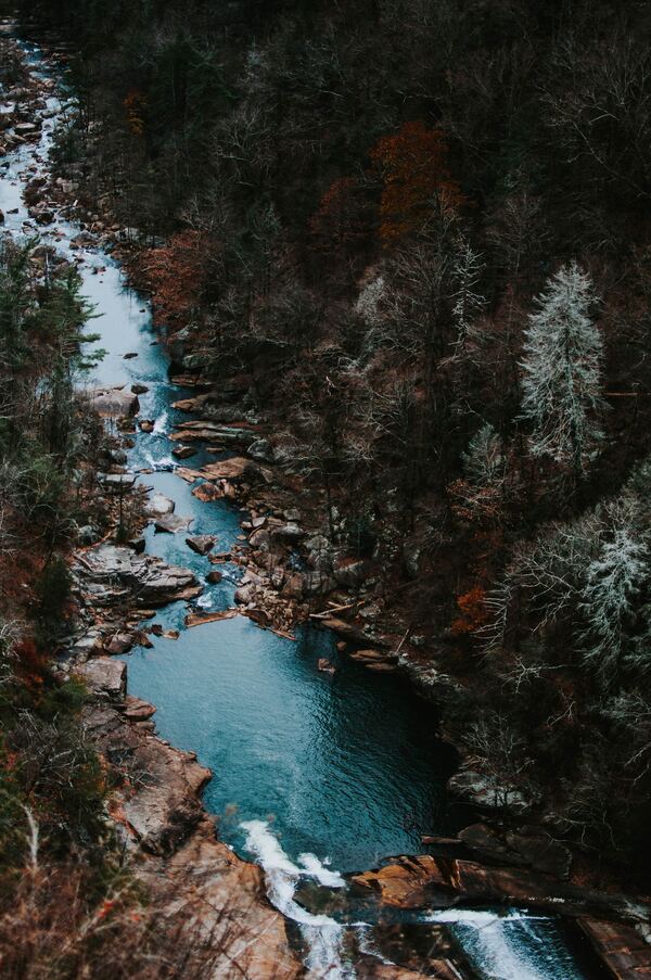 River winding through a forested canyon